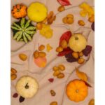 mandorle in guscio tuono still life