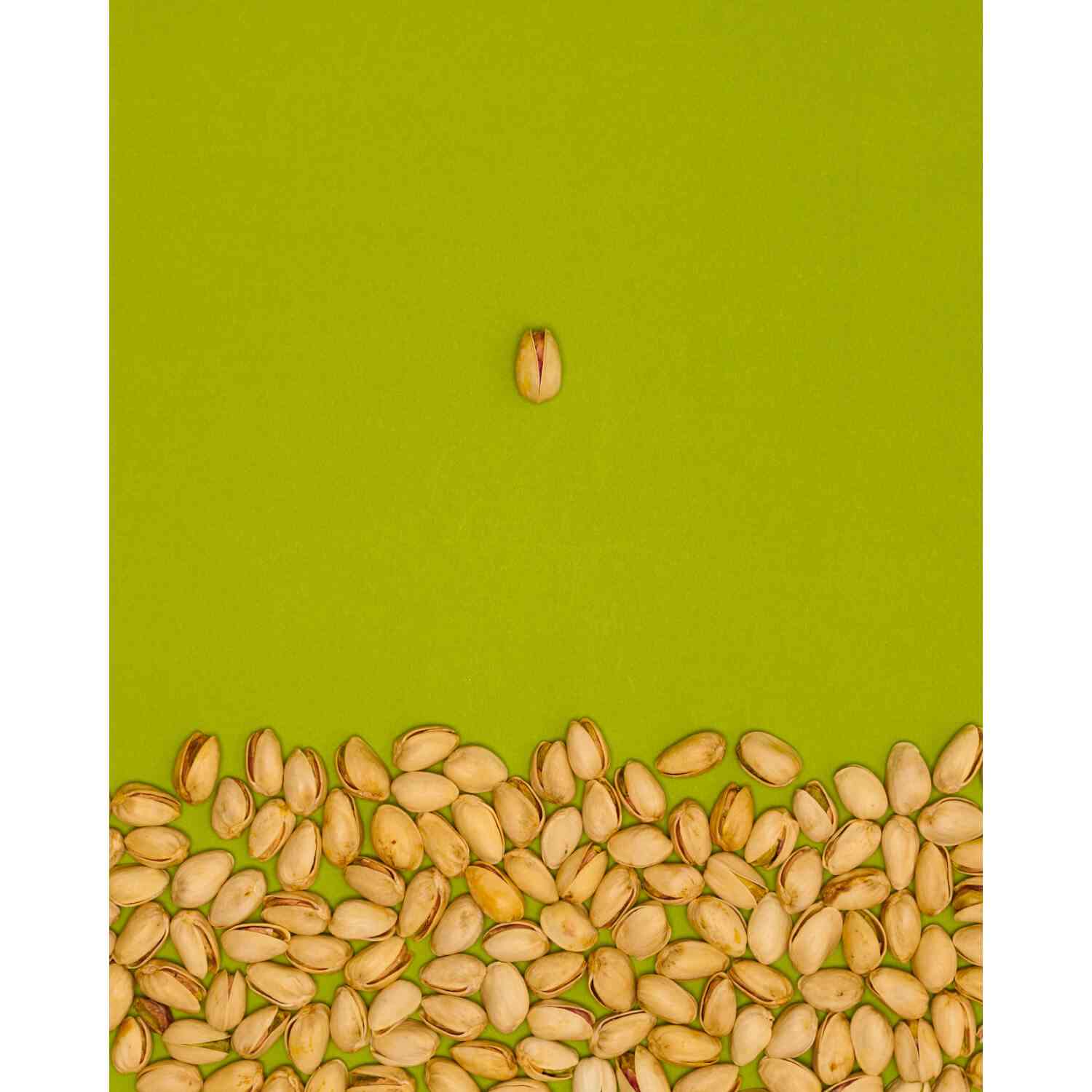 pistacchio in guscio tostato salato still life