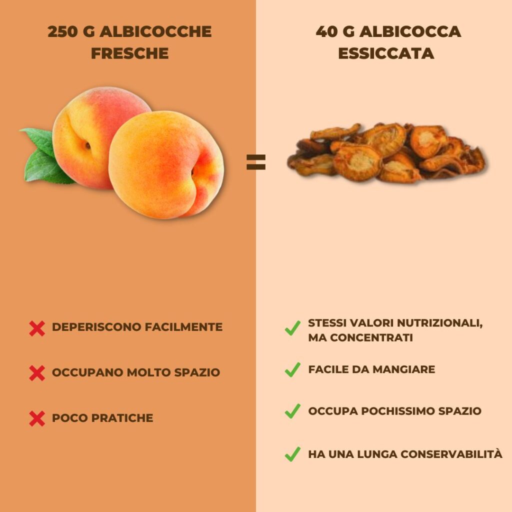 frutta fresca vs frutta essiccata